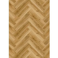 Design 555 Evolut 2,5/0,55mm Fischg.Kleb