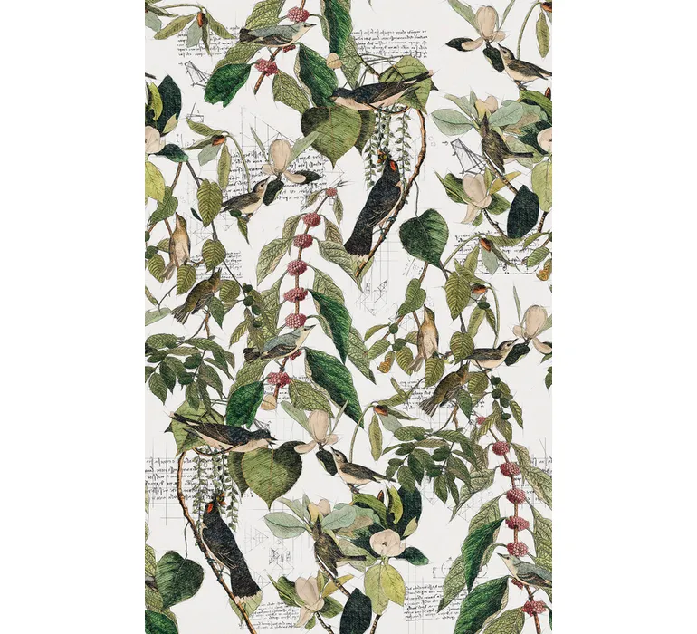 TAP Buchclub Aquamarin27 006 Naturkunde