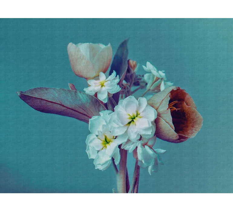 Tapete Murals II 25 EBD608 mus