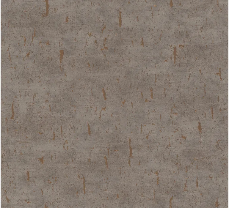 TAP Buchclub Art BordersIV 22381