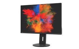 Fujitsu Displays B2410 WS, 61,2 cm (24.1&quot;), 1920 x 1200 Pixel, WUXGA, LED, 5 ms, Schwarz