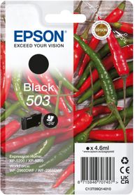 Epson 503, Standardertrag, 4,6 ml, 1 Stück(e), Einzelpackung