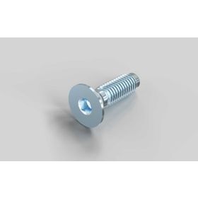 Zentralschraube S8 × 25 mm (selbstformend)