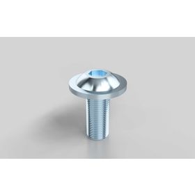 Halbrundschraube mit Flansch, ISO 7380, M6 x 14 mm