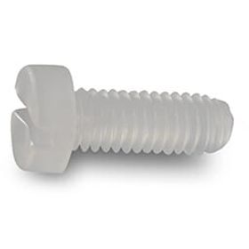 Vis à tête cylindrique ~DIN 84 M8x30