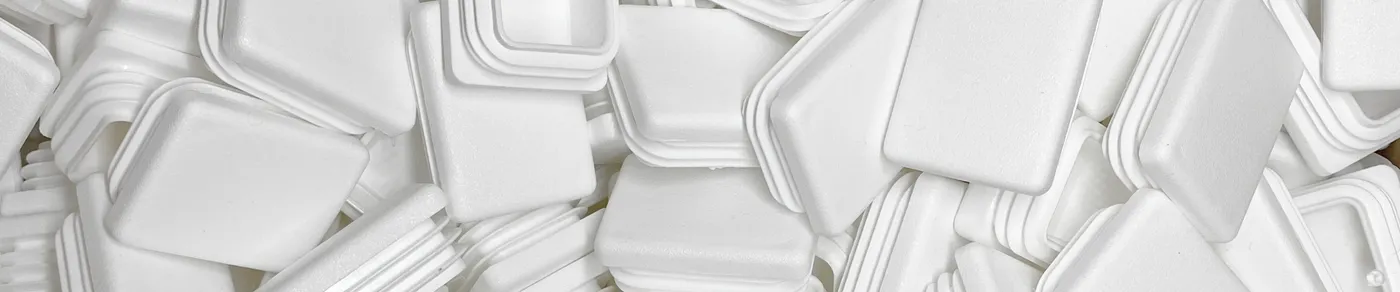 Newsletter Anmeldung