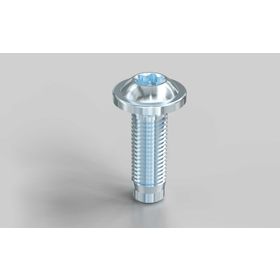 Zentralschraube S8 × 25 mm (selbstformend)