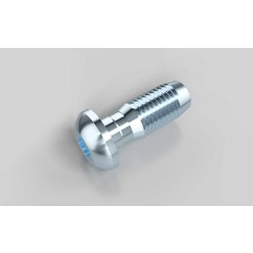 Zentralschraube S12 × 30 mm (selbstformend)