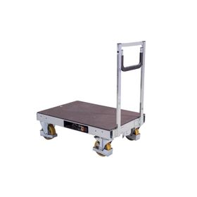 Palettenwagen; Transportwagen