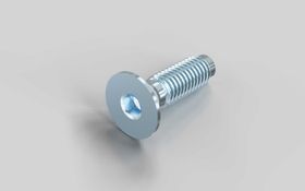 Zentralschraube S8 × 25 mm (selbstformend)