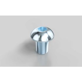 Halbrundschraube, ISO 7380, M8