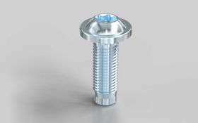 Zentralschraube S8 × 25 mm (selbstformend)