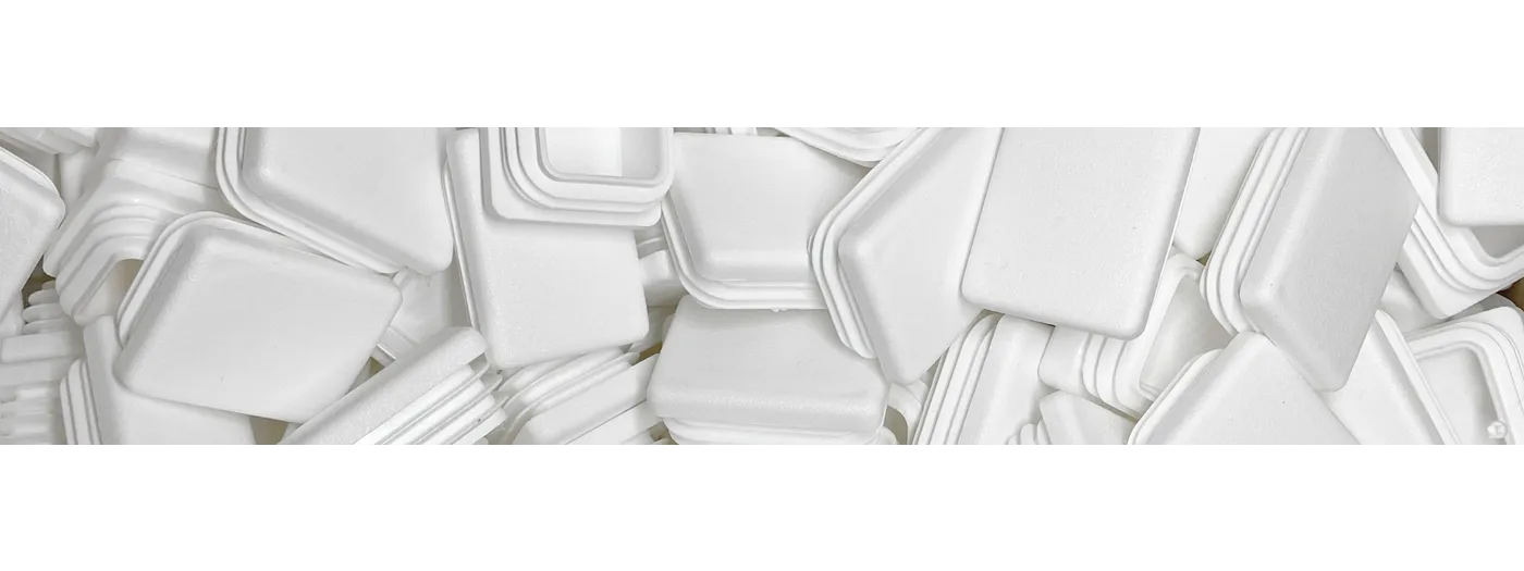 Newsletter Anmeldung