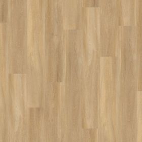 Wilts Design Kompakt [25] Objekt kleben 5703 184x1219mm