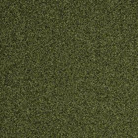 Wilts Domino [26] Teppichboden 205-09 500cm