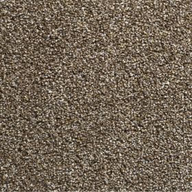 Wilts Domino [26] Teppichboden 201-06 500cm