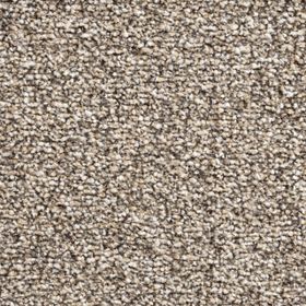 Wilts Domino [26] Teppichboden 209-05 400cm