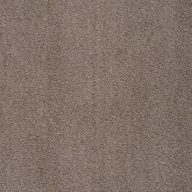 Wilts Domino [26] Teppichboden 202-03 400cm