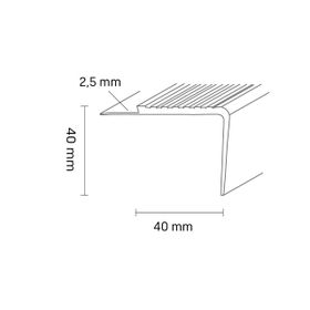Treppenkante TKNG 2,5 40 1160 aluminium/dunkelgrau 2,5m