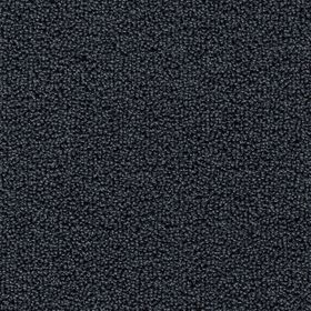 Wilts Domino [26] Teppichboden 207-04 500cm