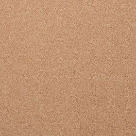 Wilts Innovation [26] Teppichboden 663-05 25x100cm