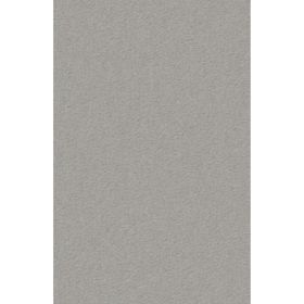 Wilts Home &amp; Business [29] Teppichboden Modena 5N50 500cm