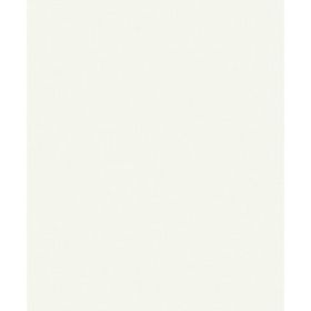 Wilts Wohnwelten 2026 Tapete 1696 10,05x0,53m