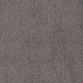 Wilts Domino [26] Teppichboden 202-07 500cm