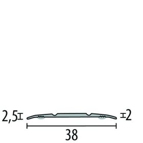 Übergangsprofil Ü-38-2-55 SK Alu Edelstahloptik 2,7m