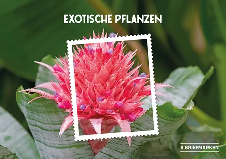 Austrian Post stamp series 'Exotic Plants' featuring a pink tropical flower. Includes 8 stamps.