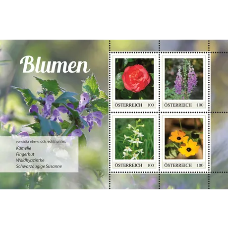 Vier Briefmarken mit Blumenmotiven Kamelie Fingerhut Waldhyazinthe Schwarzäugige Susanne kräftige Farben auf grünem Hintergrund Nominale 100 Österreich Ausgabe 2025 Serie Blumen Vier Briefmarken mit Blumenmotiven Kamelie Fingerhut Waldhyazinthe Schwarzäugige Susanne kräftige Farben auf grünem Hintergrund Nominale 100 Österreich Ausgabe 2025 Serie Blumen