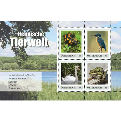 24d8f524ef428d12bda33f39614fa13bdbee3fb9.png Austrian Post stamps 2023, €0.85 each: Fire salamander, kingfisher, swan, and pond frog, themed 'Native Wildlife'.