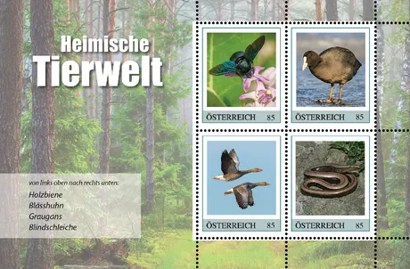 Austrian Post 2023 stamp set, €0.85 each: native wildlife - carpenter bee, coot, greylag goose, slowworm.