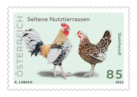 f02fed99059e4010e12c202310f8a7ba55fef05f.jpg f02fed99059e4010e12c202310f8a7ba55fef05f.jpg