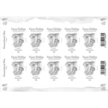 SD-KB_Frauen-Täubling_0824 A sheet of Austrian Post stamps 2024, 0.95 Euro: 'Frauen-Täubling' mushroom illustration, part of 'Austrian Mushrooms' series.