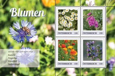 ad46f4530bb93806b2111c321dc9cbbaae500893.png Briefmarken Österreich 2023, Serie 'Blumen', Nominale 1,00 Euro: Kamille, Fingerhut, Ranunkel, Natternkopf.