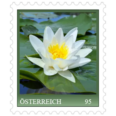 Briefmarke Österreich 2023, Nominale 0,95 Euro: Weiße Seerose auf grünen Blättern in einem Teich.