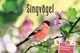 624006_Singvoegel_Cover_fW_shop