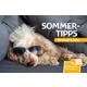 Dog with sunglasses on a couch, text: 'Summer tips for pets' and '6x stamps &amp; postcards' by Austrian Post.