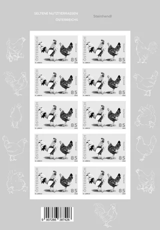 c65b5756e64b1b9f92b00a66ab0e8550b39efb36.jpg
