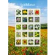 Briefmarken Österreich 2023 'Wildblumen': 20 Briefmarken mit bunten Wildblumen, Nominale 0,95 € und 1,20 €.