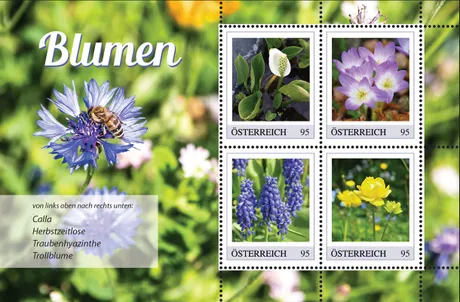 94ef02bc54ed9d262f5cfc14424ee6fbfa6efd0c.jpg 94ef02bc54ed9d262f5cfc14424ee6fbfa6efd0c.jpg