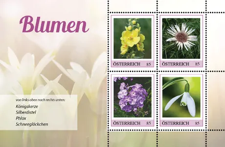 3648cdfe42e667a2be56c99471c23fa08346e8fc.png 3648cdfe42e667a2be56c99471c23fa08346e8fc.png