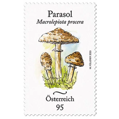 Briefmarke Österreich 2023, Nominale 0,95 Euro: Illustration von Parasolpilzen (Macrolepiota procera).