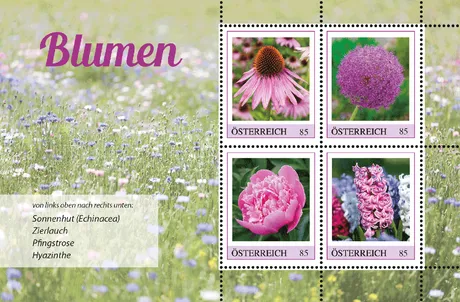 Austrian Post stamp sheet 2023, €0.85 each: flowers - coneflower, allium, peony, and hyacinth on a floral background.