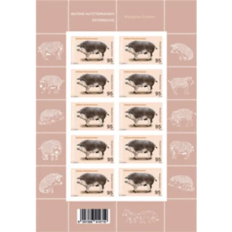 Briefmarkenbogen der Österreichischen Post 2023, Nominale 0,95 Euro, Motiv: Schwein aus der Serie 'Kleine Nutztierarten'.