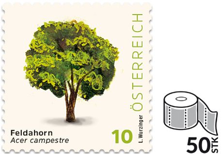10_Feldahorn_50er