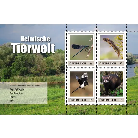 caa2c12dd9a00ed5a15de9f01157fbe0d9bf7b22.png Austrian Post 2023 stamp series 'Native Wildlife,' €0.85 each: Banded Demoiselle, Alpine Newt, Magpie, and European Polecat.