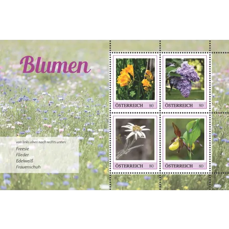 6bc3303a90fad3221ebd2acb9d003abc5cef411d.jpg Briefmarkenblock Österreich 2023, Nominale 0,80 Euro: Freesie, Flieder, Edelweiß und Frauenschuh.