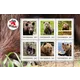 Bears – rescued and protected Sheet with 6 bear stamps showing cubs and adult animals in nature, “Four Paws” logo visible